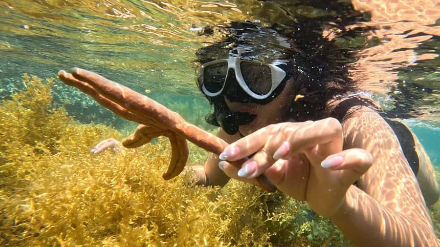 Nha Trang: Half-Day Snorkeling Adventure with BBQ Onboard - What this Nha Trang boat trip is really like