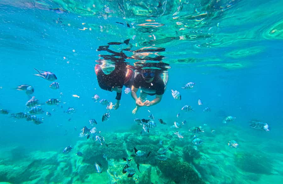 Nha Trang: Half-Day Snorkeling Adventure with BBQ Onboard - Dam Bay: the best blend of swimming and lunch