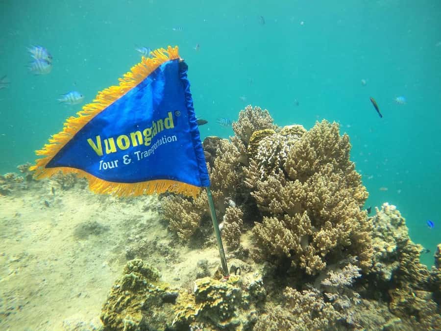 Nha Trang Half Day Snorkeling Trip - FAQ