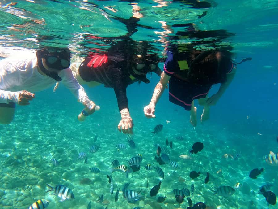 Nha Trang Half Day Snorkeling Trip - Who should book this Nha Trang bay outing