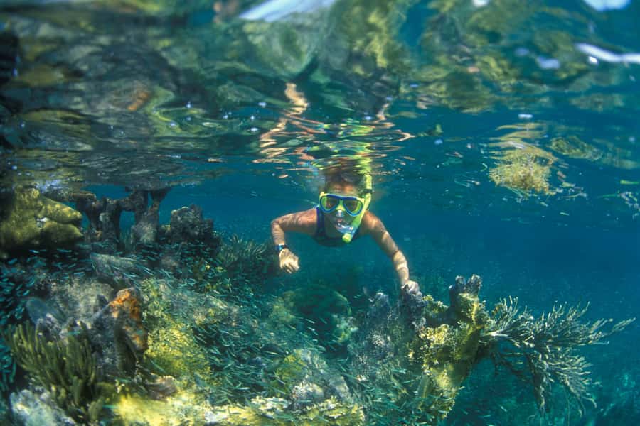 Nha Trang: Snorkeling Tour with BBQ Lunch at Coral Reef - What $27 buys you in Nha Trang Bay