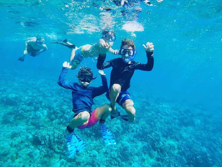 Nha Trang: Snorkeling Tour with BBQ Lunch at Coral Reef - The early hotel pickup and ride to the port