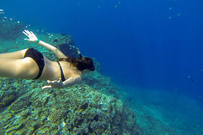 Ni'ihau and Na Pali Coast Snorkel Boat Tour - Rough water is the main drawback