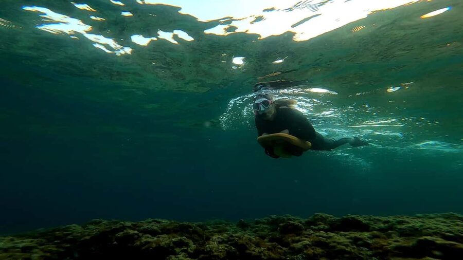 Nice, Beaulieu Sur Mer: Sea Scooter Snorkeling Tour - Who will enjoy it most