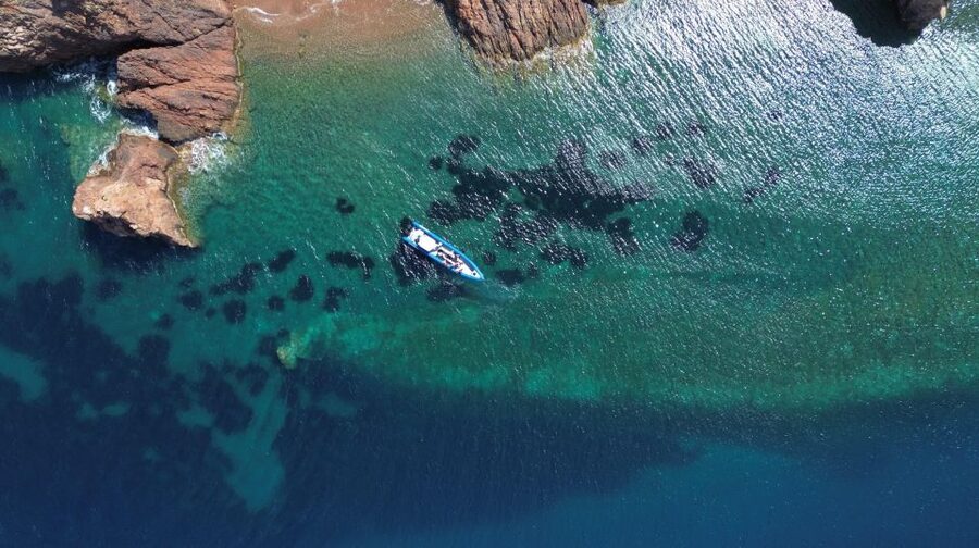 Nice: Lerins Islands Boat Tour with Snorkeling - Leaving Nice from Port Lympia