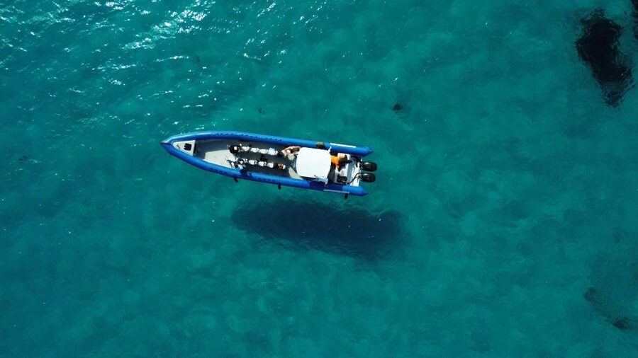Nice: Lerins Islands Boat Tour with Snorkeling - Snorkeling at Jason deCaires Taylor’s underwater sculptures