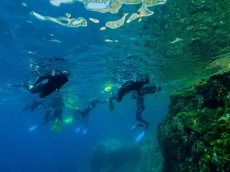 Nice: Snorkeling Speedboat Tour in Villefranche Bay - Leaving Nice for Villefranche Bay
