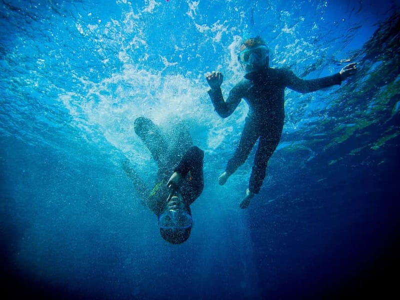 Nice: Snorkeling Speedboat Tour in Villefranche Bay - Patient Help for First-Time Snorkelers