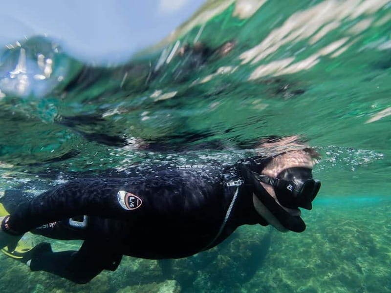 Nice: Snorkeling Speedboat Tour in Villefranche Bay - Who Will Enjoy This Most