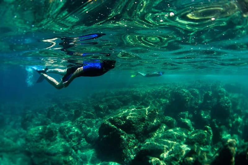 Nice: Snorkeling Speedboat Tour in Villefranche Bay - The One-Hour Swim Stop