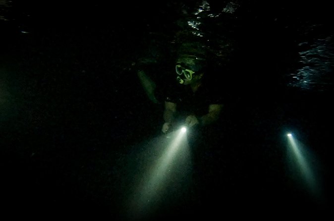Night Snorkeling Adventure - Who will get the most from this outing