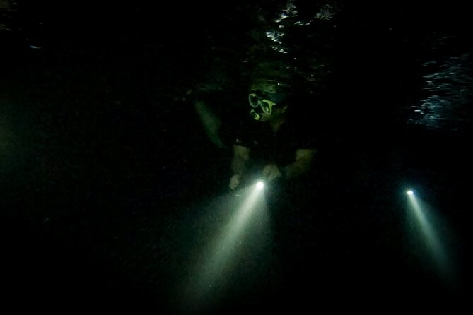 Night Snorkeling Adventure - Is $71.65 a good value?