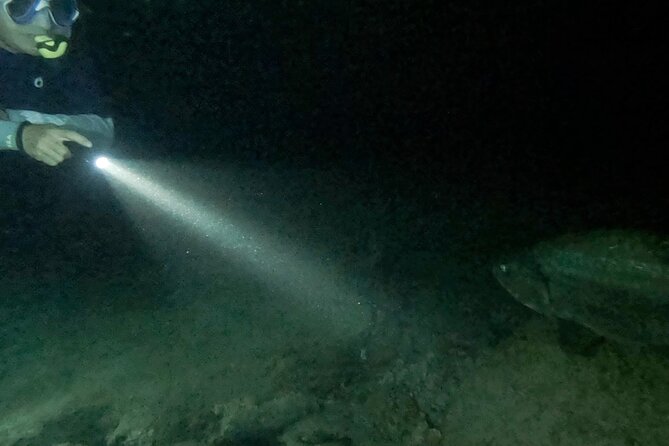 Night Snorkeling Adventure - The 7 p.m. meeting and shore entry