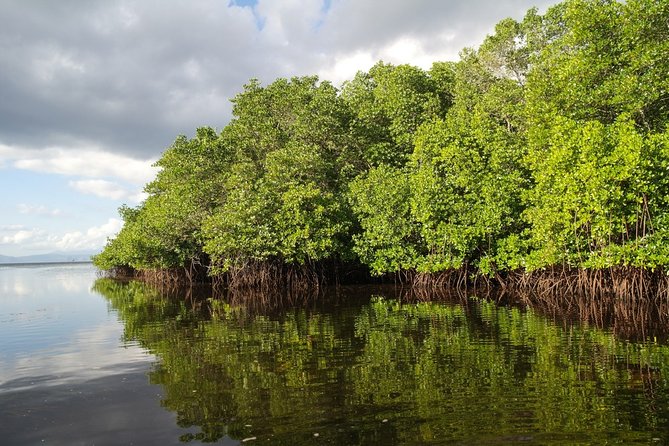 Nusa Lembongan Island: Snorkeling & Mangrove Forest Day Tour - Why this Nusa Lembongan day works well