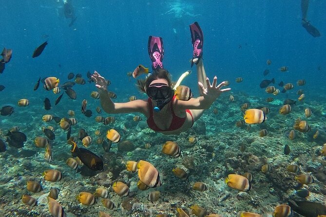 ️Nusa Penida by Private Boat - Snorkeling 4 spots, Swim with Mantas + Land Tour - Lunch at AMARTA Penida with Mount Agung in view