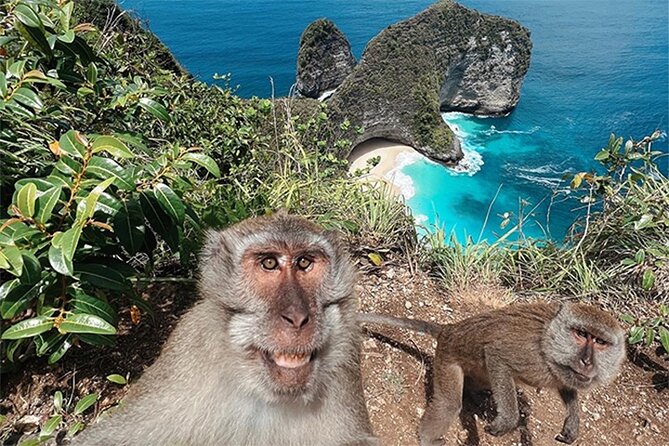 Nusa Penida day trip: boat, 4 snorkeling, Manta rays & Land tour - Kelingking Beach gives you the famous view
