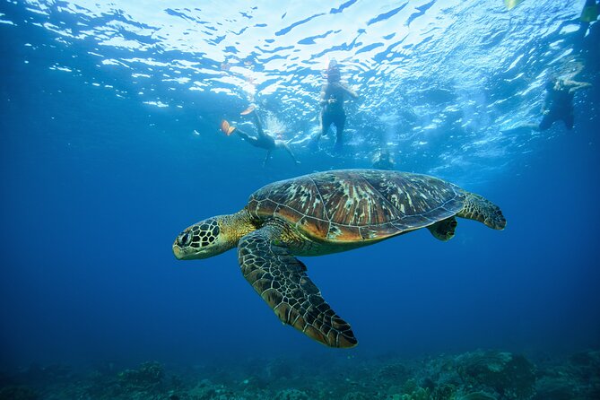 Nusa Penida day trip: boat, 4 snorkeling, Manta rays & Land tour - Lunch comes with a view and a pool