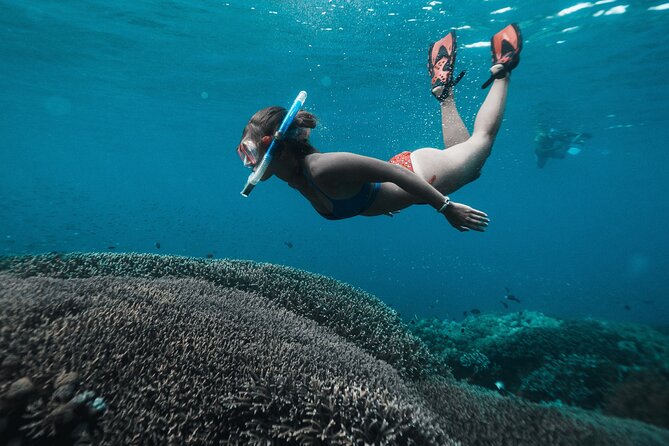 Nusa Penida day trip: boat, 4 snorkeling, Manta rays & Land tour - SD Point brings coral and reef fish