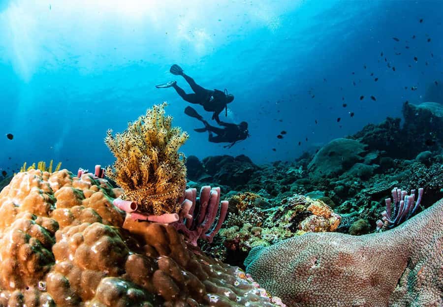 Nusa Penida: Full-Day Guided Snorkeling & Island Tour - From your Bali hotel to Sanur Harbor