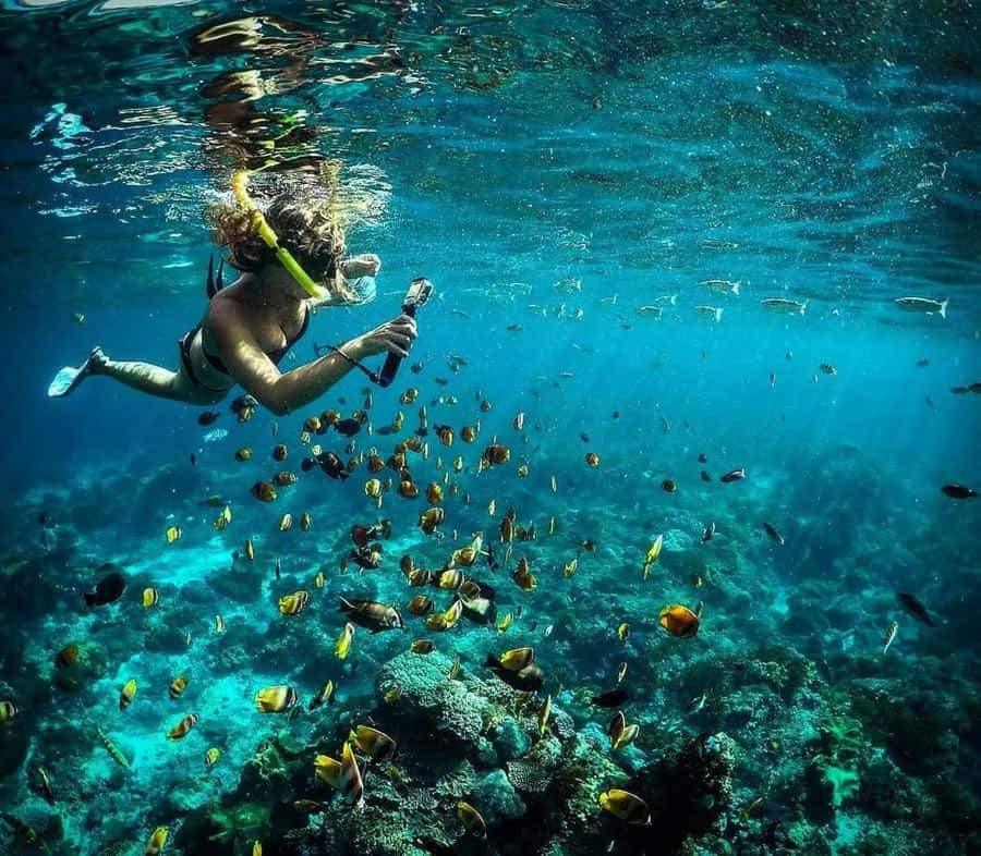 Nusa Penida: Full-Day Guided Snorkeling & Island Tour - Kelingking Beach and the famous T-Rex cliff