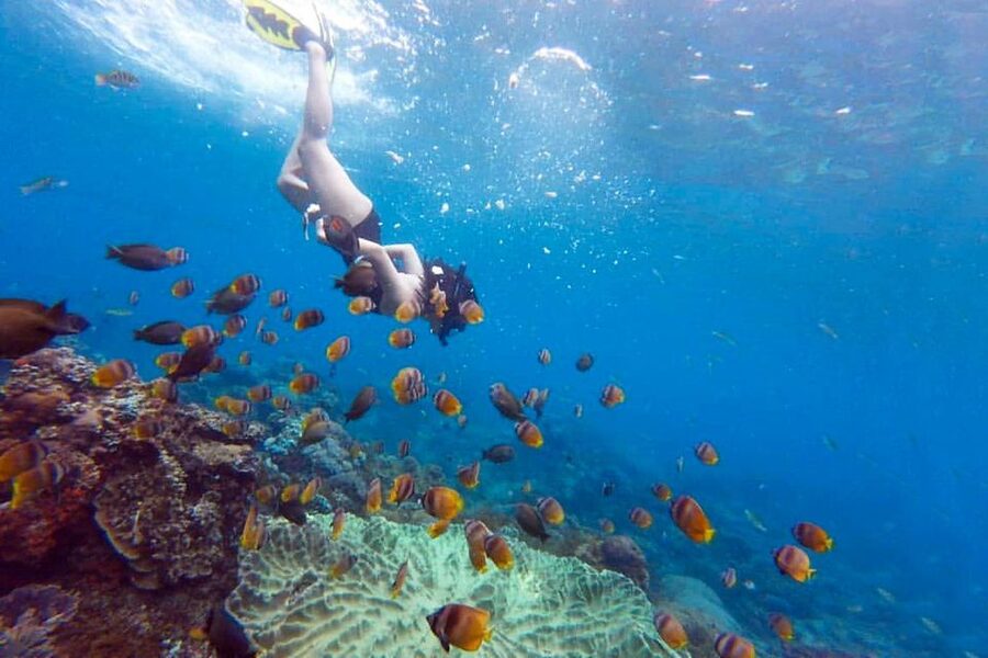 Nusa Penida: Full-Day Guided Snorkeling & Island Tour - Angel’s Billabong and Broken Beach
