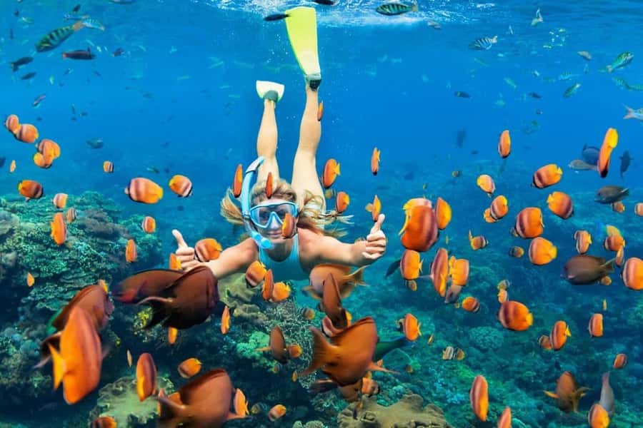 Nusa Penida: Full-Day Guided Snorkeling & Island Tour - Snorkeling at Manta Bay, Gamat Bay, and Crystal Bay