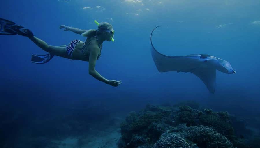Nusa Penida: Full Day Private Snorkeling With Manta Ray - Key points to know before booking