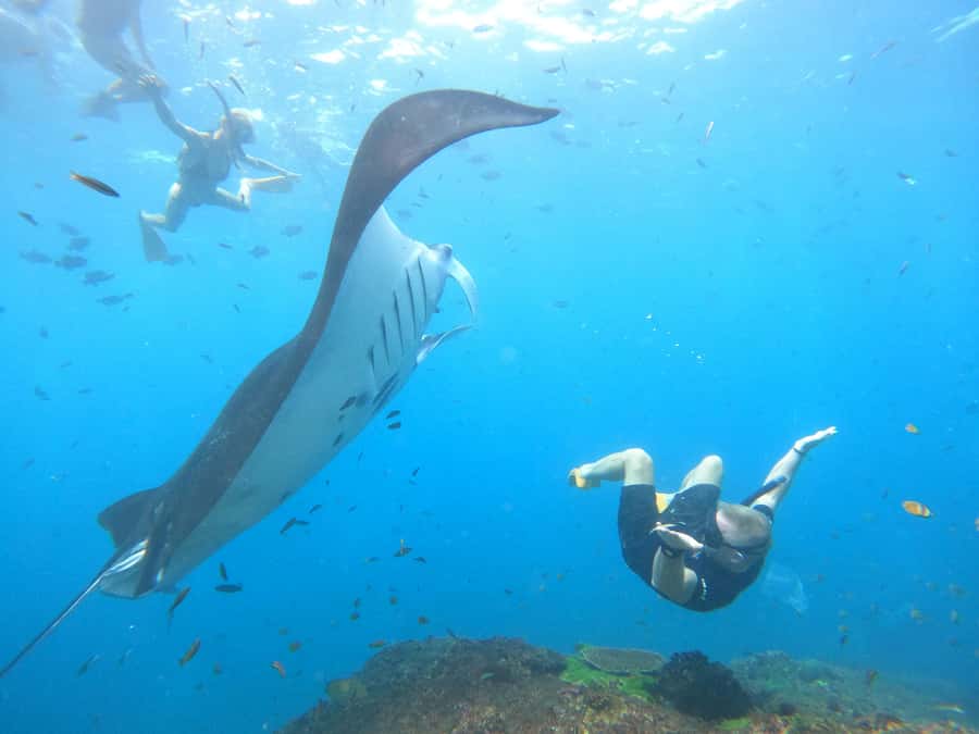 Nusa Penida: Full Day Private Snorkeling With Manta Ray - Why the private boat matters at Nusa Penida