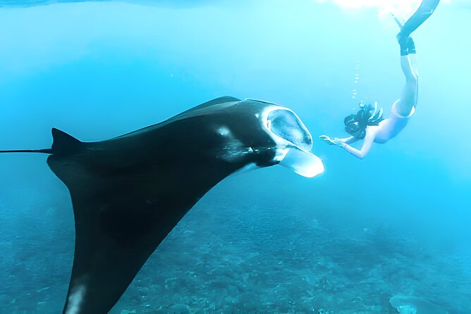 Nusa Penida Island Beach Tours with Snorkeling From Bali - What the 10-hour day really involves