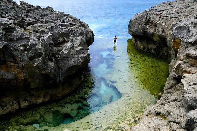Nusa Penida Island Beach Tours with Snorkeling From Bali - Who should choose this Penida tour?