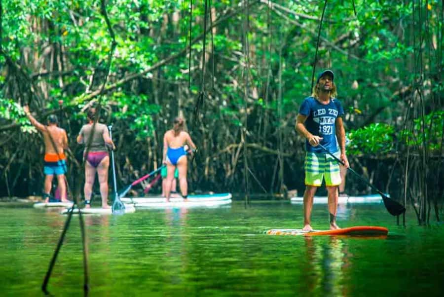 Nusa Penida: Snorkel 3 Spots w/ GoPro & Mangrove Paddle Tour - Timing, group size, and sea conditions