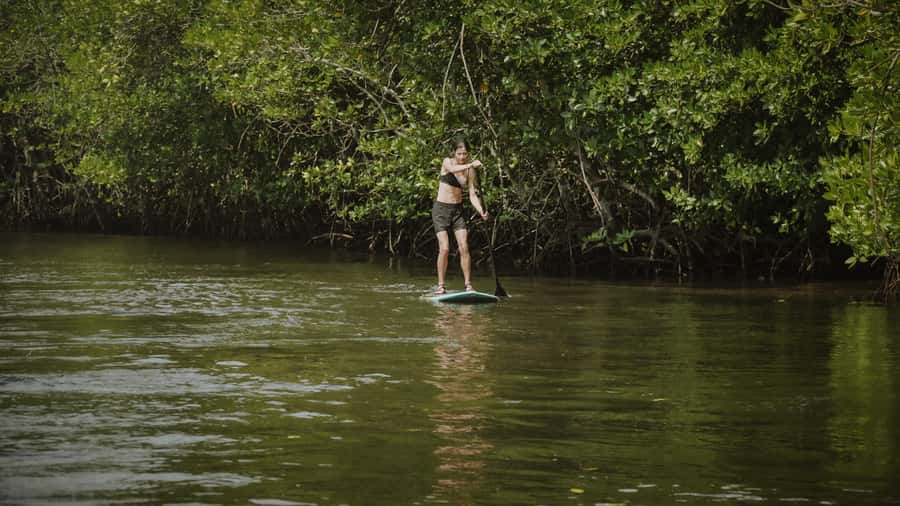 Nusa Penida: Snorkel 3 Spots w/ GoPro & Mangrove Paddle Tour - Who will enjoy this outing most