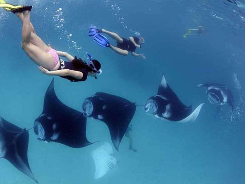 Nusa Penida: Snorkeling 3-4 spots and island tour with guide - What this Nusa Penida outing really includes