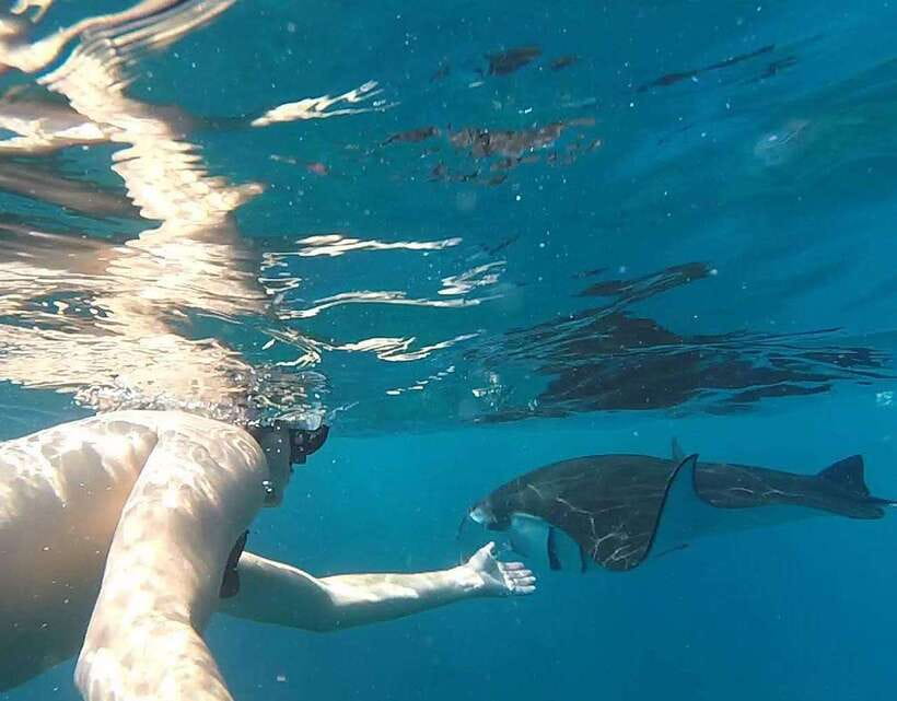 Nusa Penida: Snorkeling 3-4 spots and island tour with guide - Is the $10 price good value?
