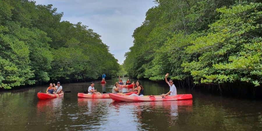 Nusa Penida: Snorkeling 3 Spots with GoPro & Kayak Mangroves - Timing your Bali connection