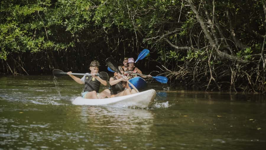Nusa Penida: Snorkeling 3 Spots with GoPro & Kayak Mangroves - Is this Nusa Penida tour right for you?