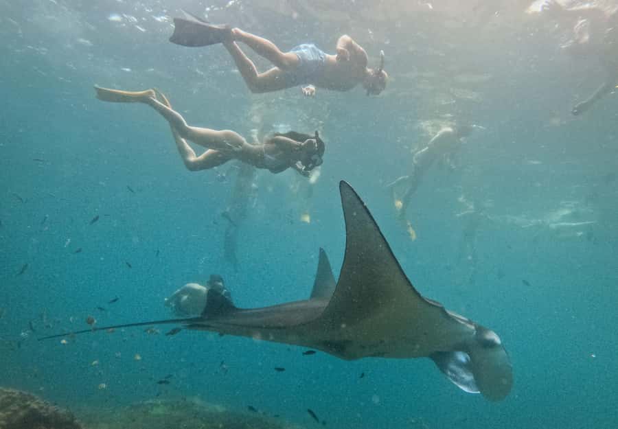 Nusa Penida: Snorkeling 3 Spots with GoPro & West Land Tour - One day, two very different Nusa Penida experiences