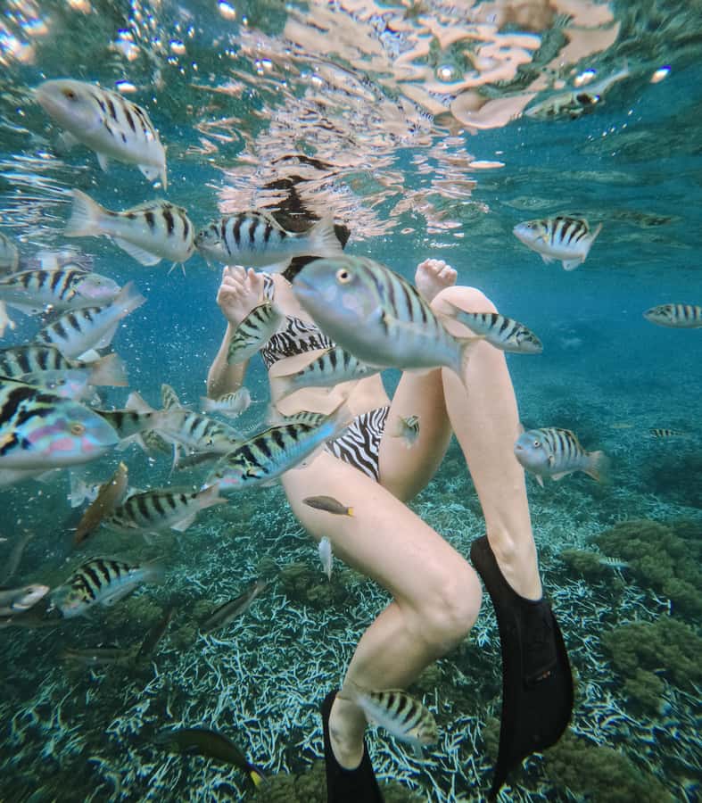 Nusa Penida: Snorkeling 3 Spots with GoPro & West Land Tour - Kelingking Beach: the famous T-Rex view