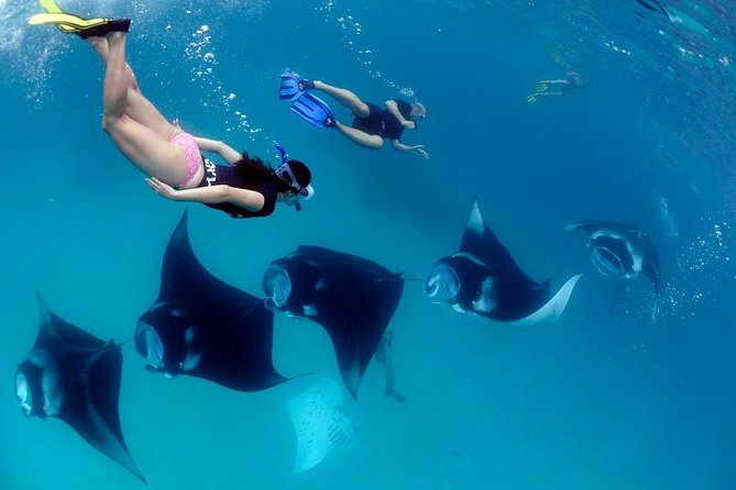 Nusa Penida Snorkeling Adventure (Private & All-Inclusive) - Why this day trip works well
