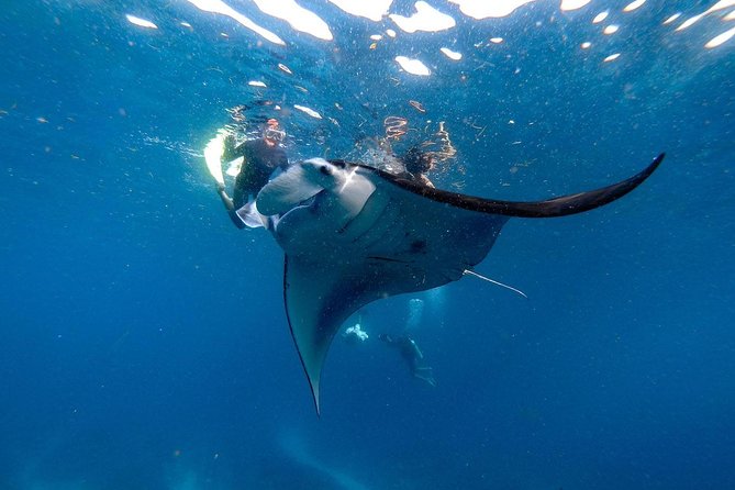Nusa Penida Snorkeling Adventure (Private & All-Inclusive) - Crystal Bay and the final island stop