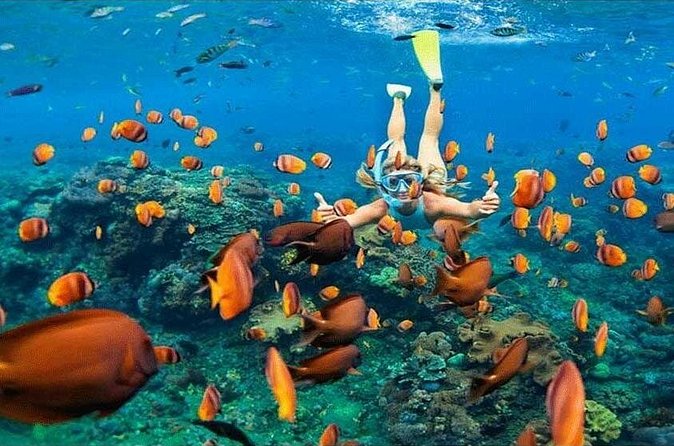Nusa Penida Trip with Snorkeling all-Inclusive - Snorkeling at Manta Bay, Gamat Bay, and Crystal Bay