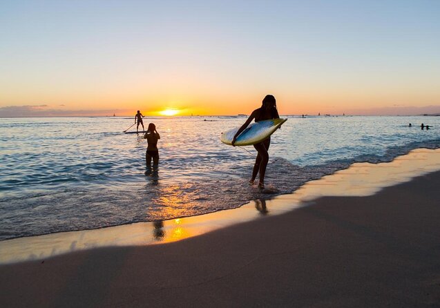 Oahu Catamaran Snorkel Tour: See Turtles 100% Guaranteed - Turtle Canyon, where the tour earns its name