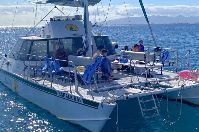 Oahu Catamaran Snorkel Tour: See Turtles 100% Guaranteed - Green sea turtles without the zoo feeling