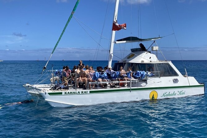 Oahu Catamaran Snorkel Tour: See Turtles 100% Guaranteed - Practical details before you book