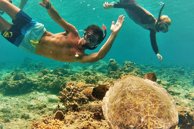 Oahu Circle Island Tour with Turtle Snorkeling— Small-Groups - Why this Oahu tour works well for a first full day