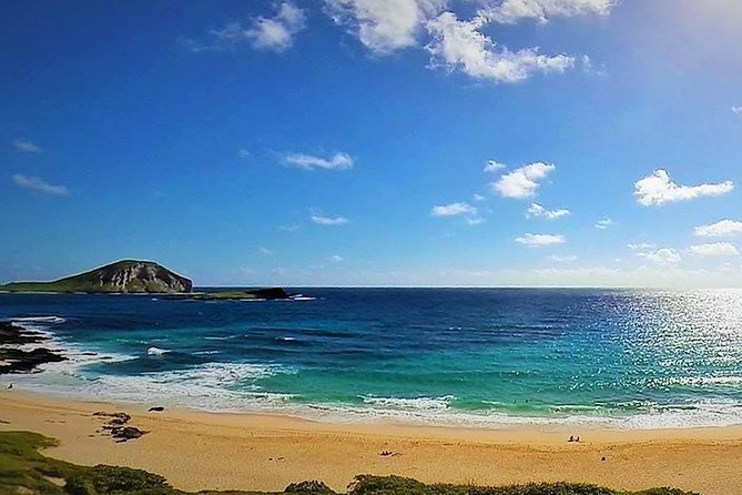 Oahu Circle Island Tour with Turtle Snorkeling— Small-Groups - Turtle snorkeling is the heart of the day