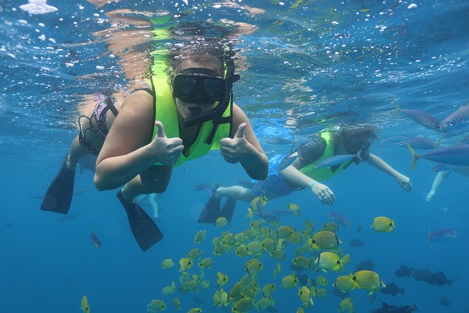 Oahu Dolphin and Snorkel Tour with Waikiki Pickup & Lunch - A west coast boat trip, not a Waikiki harbor cruise