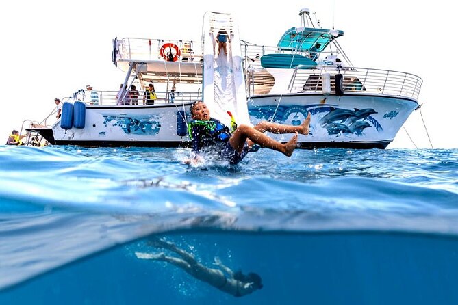 Oahu Dolphin and Snorkel Tour with Waikiki Pickup & Lunch - Snorkeling with Hawaiian green sea turtles
