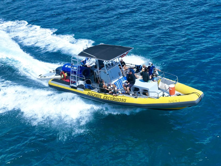 Oahu: Dolphin Swim and Turtle Snorkel Excursion in Waianae - What the $193 price includes