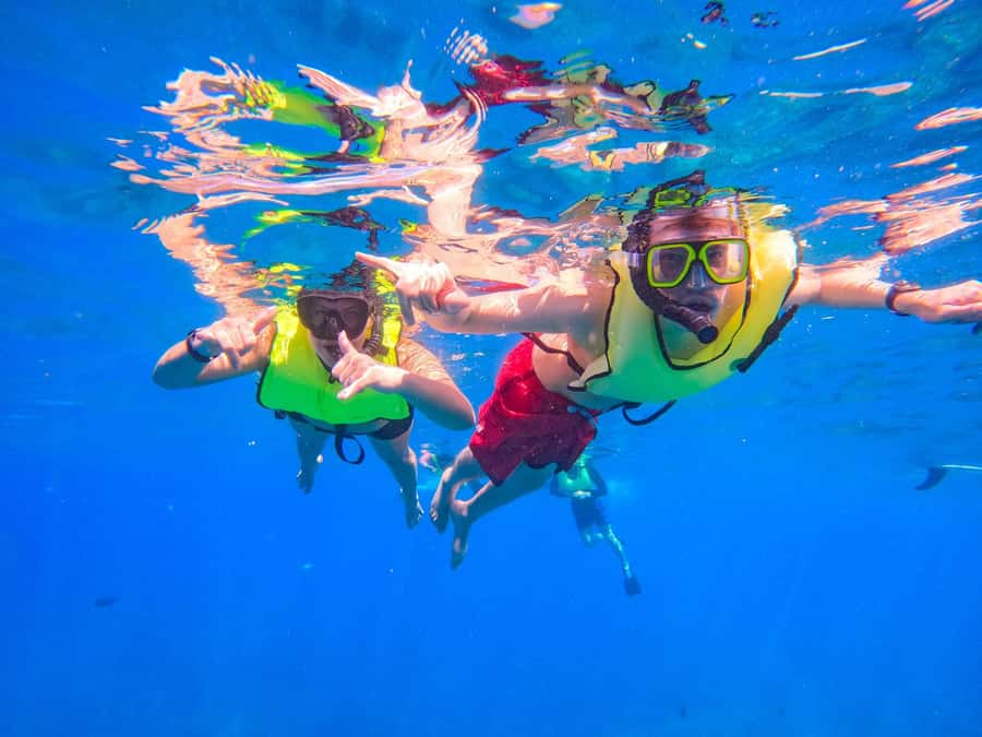 Oahu: Dolphin Watching & Turtle Snorkeling with Waterslide - The 20-foot waterslide changes the pace